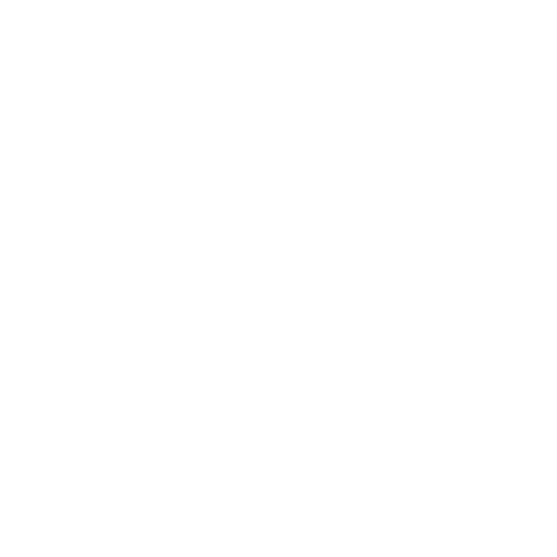 boat (1)